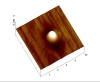 Field emitter observed by Scanning Maxwell-stress microscopy (SMM)